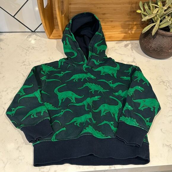 H&M Kids green blue Dinosaur hoodie summer winter Dino core size 4-6 - Picture 1 of 5